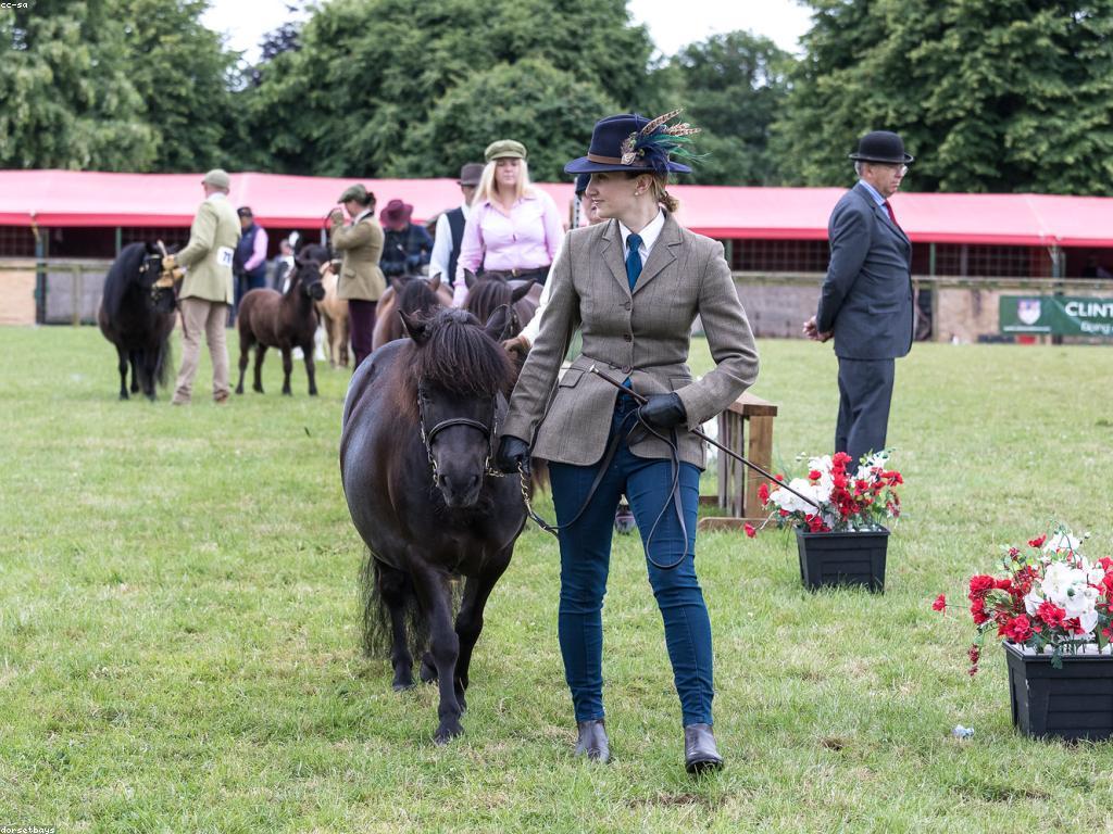 យុទ្ធសាស្រ្តសម្រាប់ឈ្នះក្នុងការប្រកួតនិងពានរង្វាន់