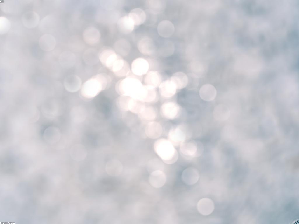 សម្ភារៈនិងឧបករណ៍: ការប្រើប្រាស់និងសារៈសំខាន់